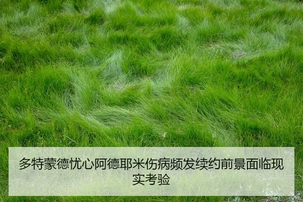 多特蒙德忧心阿德耶米伤病频发续约前景面临现实考验